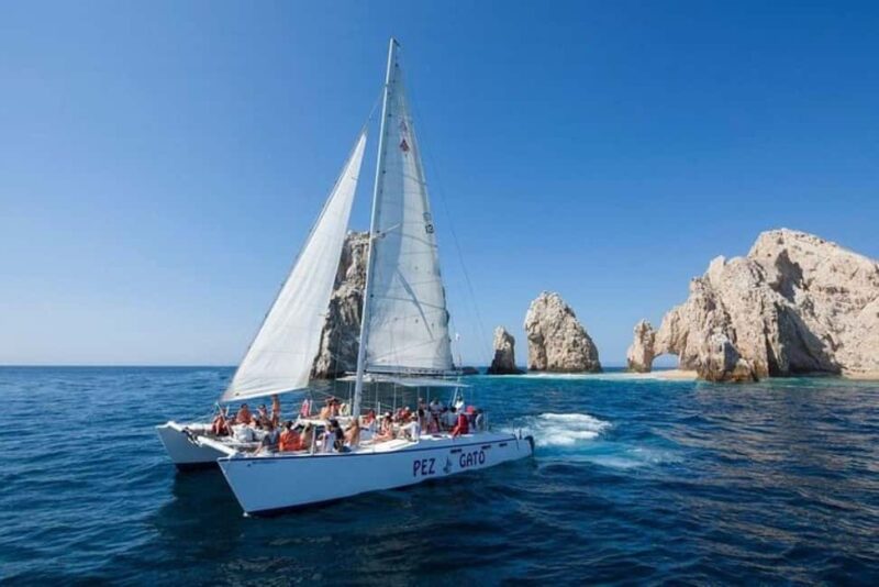 Los Cabos: Catamaran Whale Watching Cruise - Key Points