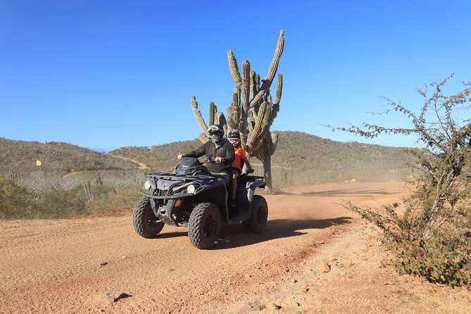 Los Cabos - COMBO Horseback Riding & ATV Tour - Authentic Tequila Tasting and Refreshments