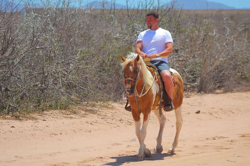 Los Cabos: Combo: Razor, Horseback or atv with transfer - Horseback Riding on the Beach with Stunning Ocean Views
