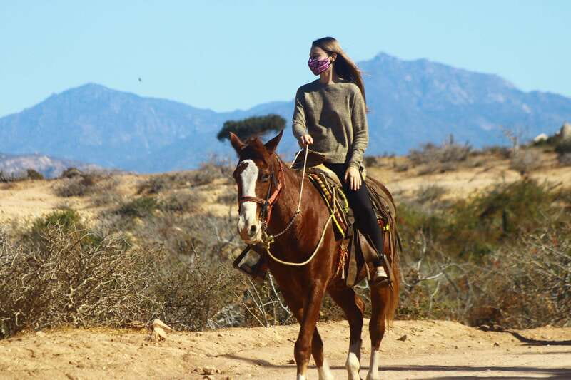 Los Cabos: Combo: Razor, Horseback or atv with transfer - Convenient Logistics and Easy Booking Options