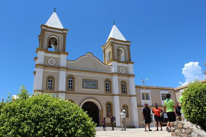 Los Cabos Deluxe City Tour: San Jose, San Lucas and The Arch - Guide Expertise and Tour Organization