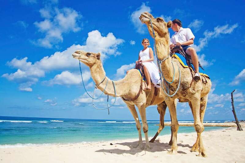 Los Cabos: Desert & Sea Camel Safari Tour with Lunch - Los Cabos: Desert & Sea Camel Safari Tour with Lunch — An Unforgettable Half-Day Adventure