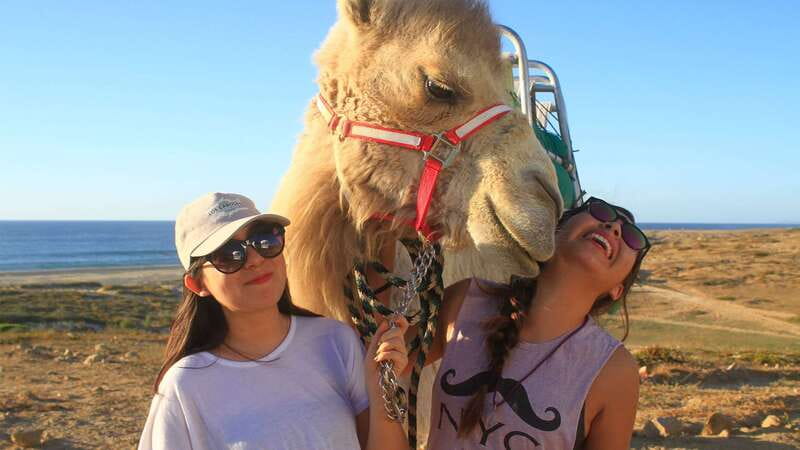 Los Cabos: Desert & Sea Camel Safari Tour with Lunch - Visiting Tierra Sagrada: An Authentic Mexican Ranch
