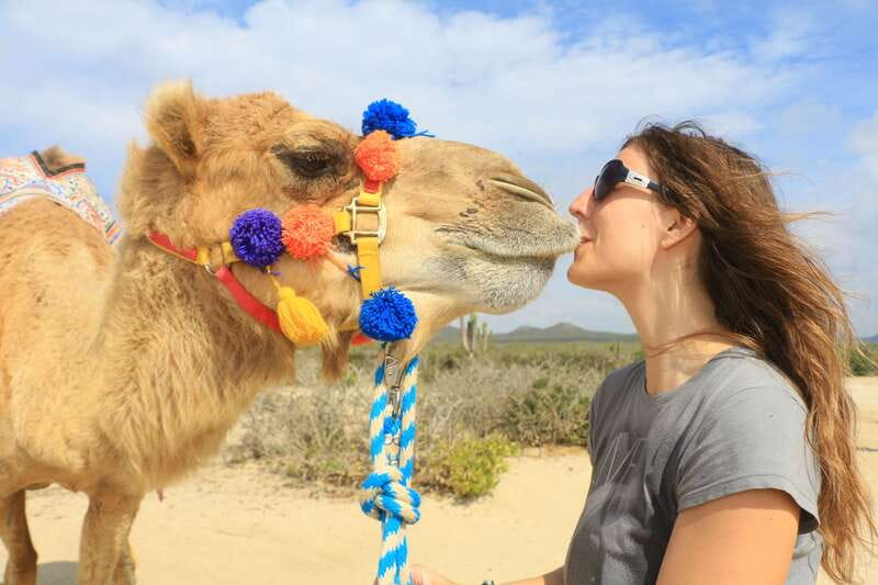 Los Cabos: Desert & Sea Camel Safari Tour with Lunch - What Makes This Tour Stand Out in Los Cabos