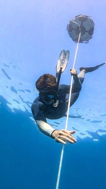 Los Cabos: freediving sessions - Meeting Point and Accessibility in Cabo San Lucas