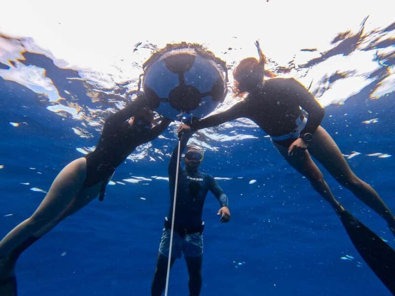 Los Cabos: freediving sessions - The Expertise and Teaching Approach of Blue Gate Expeditions