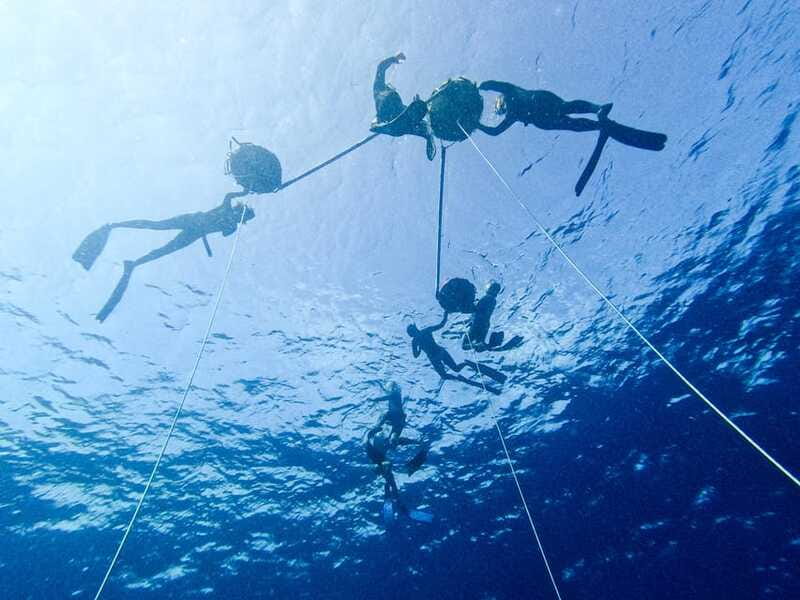 Los Cabos: freediving sessions - Cost and Value of the Los Cabos Freediving Sessions