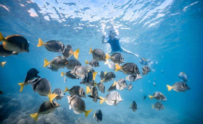 Los Cabos: Glass Bottom Kayak and Snorkel Tour at the Arch - Discover the Unique Glass-Bottom Kayak and Snorkel Adventure at Los Cabos