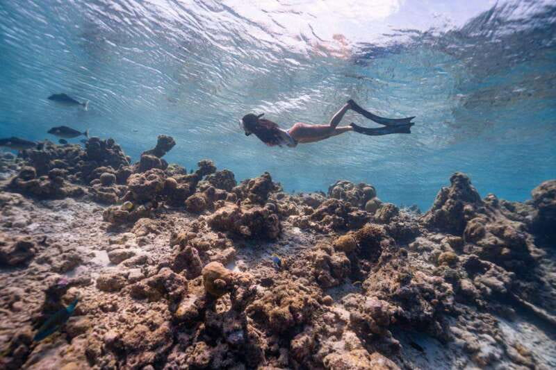 Los Cabos: Glass-Bottom Kayak and Snorkel Tour at Two Bays - Key Points