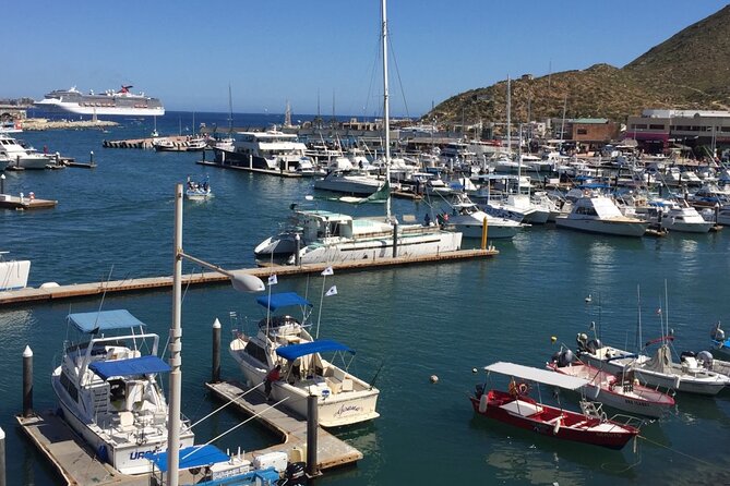 Los Cabos Half-Day Tour Discovering San Jose and San Lucas - The Vibrant Heart of Cabo San Lucas: Plaza Amelia Wilkes