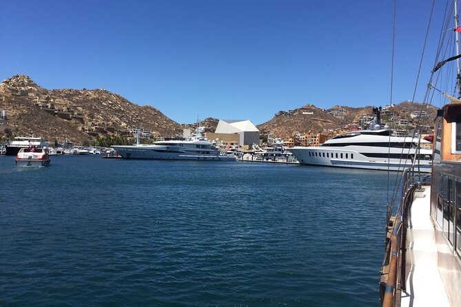 Los Cabos Half-Day Tour Discovering San Jose and San Lucas - Authentic Mexican Lunch and Tequila Tasting