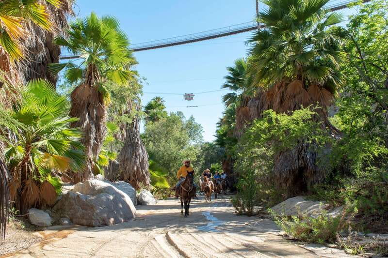 Los Cabos: Horseback Riding in Canyon a Mexican Experience - Tasting Mexican Flavors at the Lions Den Restaurant