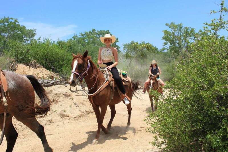 Los Cabos: Horseback Riding in Canyon a Mexican Experience - Who Will Appreciate This Tour?