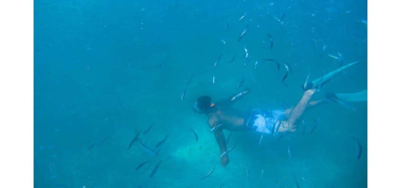 Los Cabos: Land's End Kayak and Snorkel Tour - Included Amenities and Practical Tips