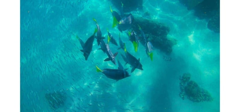 Los Cabos: Land's End Kayak and Snorkel Tour - The Experience with Cabo Expeditions