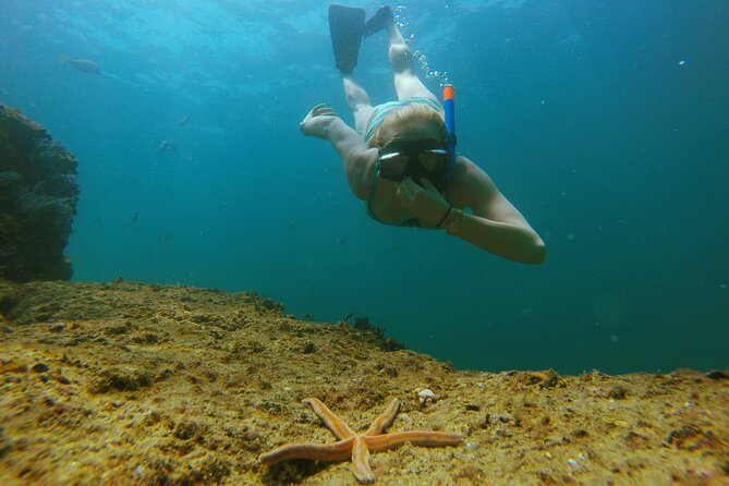 Los Cabos Luxury 50 Yacht Charter Private Tour - Snorkeling at Chileno Bay: Marine Life and Underwater Beauty