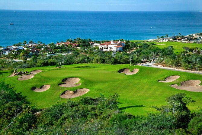 Los Cabos Luxury Private Tesla Transfer from Airport to Puerto Los Cabos Area - In-Flight Comforts and Complimentary Refreshments