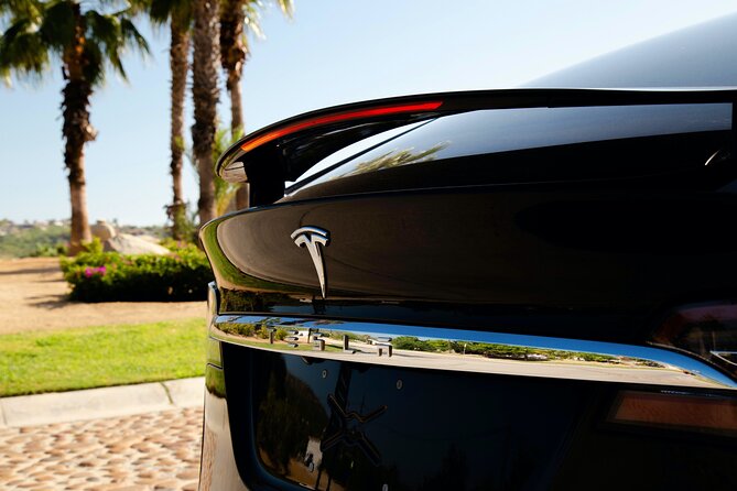 Los Cabos Luxury Private Tesla Transfer from Airport to Puerto Los Cabos Area - Seamless Booking and Flexible Scheduling