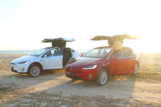 Los Cabos Luxury Private Tesla Transfer from Airport to Puerto Los Cabos Area - Who Will Enjoy This Tesla Transfer?