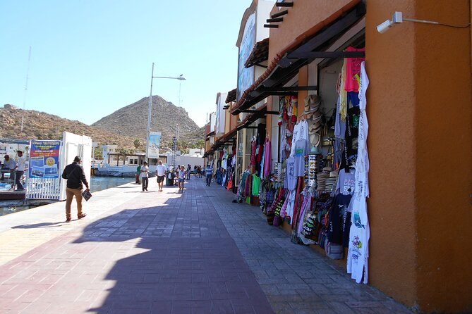 Los Cabos Private Chauffeur Service - Accessibility and Practical Tips