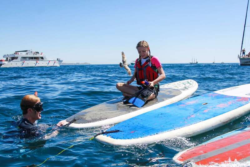 Los Cabos: Private Paddleboarding and Snorkeling Tour - Physical Requirements and Suitability
