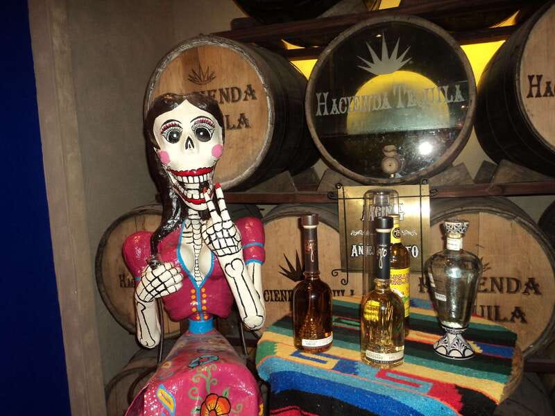 Los Cabos: San Jose and San Lucas Trip with Lunch - Sampling Tequila and Learning About Blue Agave