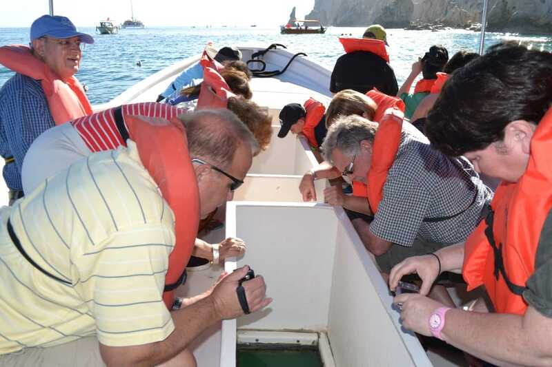 Los Cabos: San Jose and San Lucas Trip with Lunch - What’s Not Included and Important Considerations