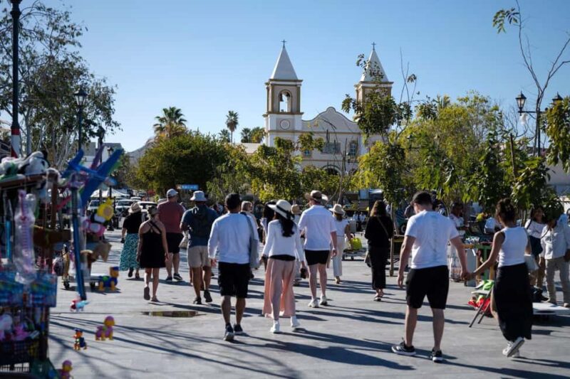 Los Cabos: San Jose del Cabo Art Walk and Beer Tasting Tour - Key Points