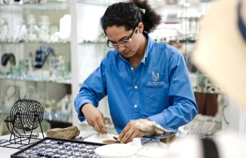 Los Cabos: San Jose del Cabo Art Walk and Beer Tasting Tour - Exploring the Art Walk District and Renowned Galleries