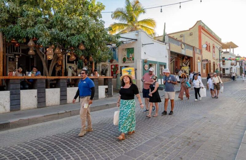 Los Cabos: San Jose del Cabo Art Walk and Beer Tasting Tour - The Value of a 4-Hour Cultural Journey