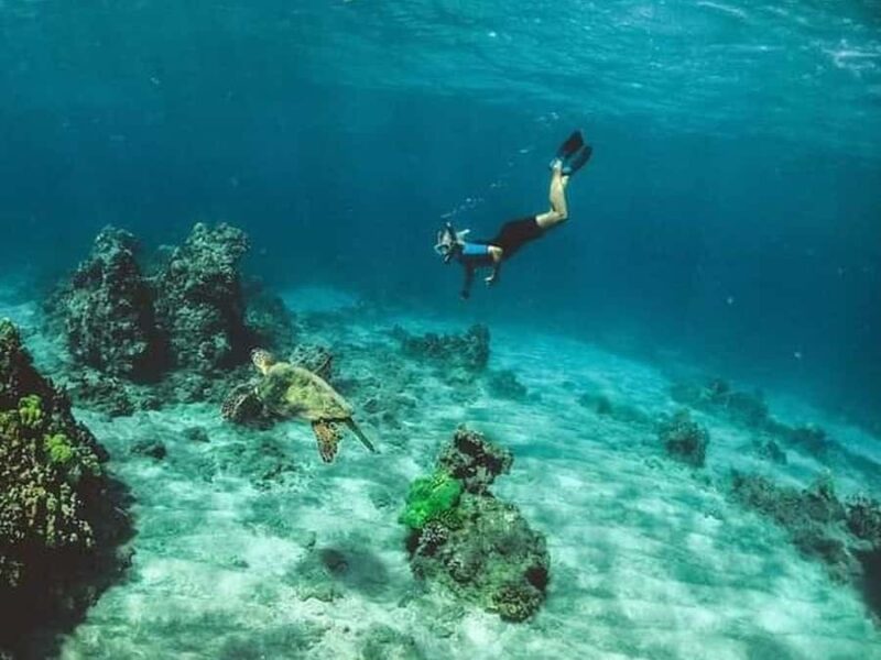 Los Cabos: Santa Maria & Chileno Bay Snorkel Adventure - Discovering Chileno Bay’s Unique Marine Ecosystem