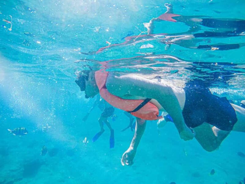 Los Cabos: Snorkeling Cruise with Lunch - Explore the Marine Wonders of Baja California Sur with a Snorkeling Cruise