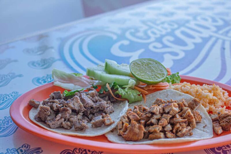 Los Cabos: Snorkeling Cruise with Lunch - Scenic Cruise Along the Sea of Cortez