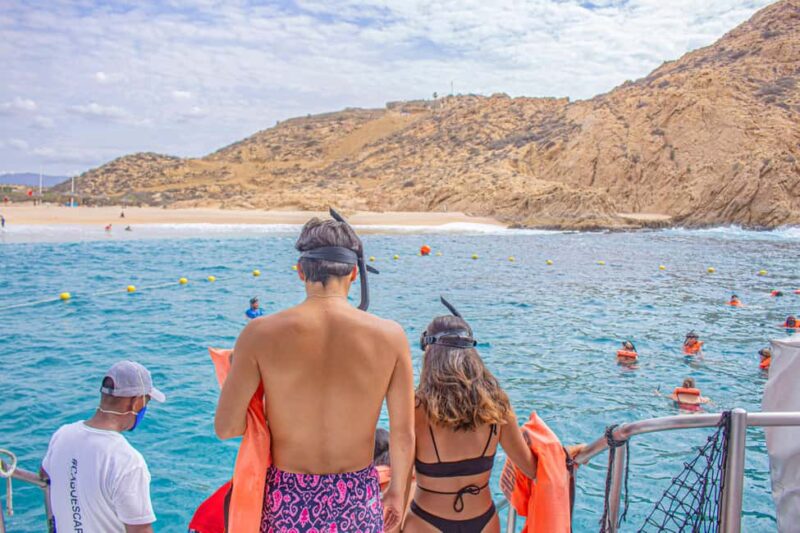 Los Cabos: Snorkeling Cruise with Lunch - Snorkeling at Chileno Bay: An Up-Close Marine Encounter