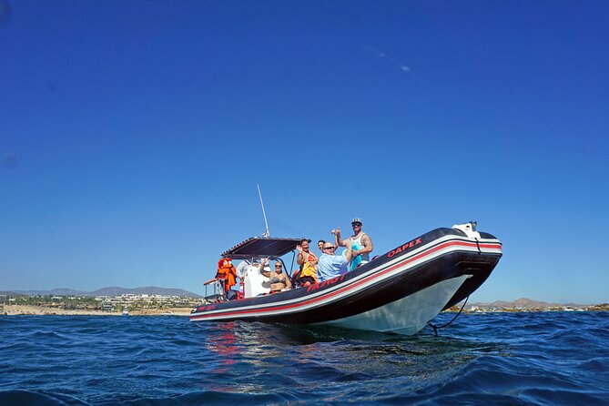 Los Cabos Snorkeling Tour by Speed Boat with Photos Included - Marine Life and Landmark Highlights