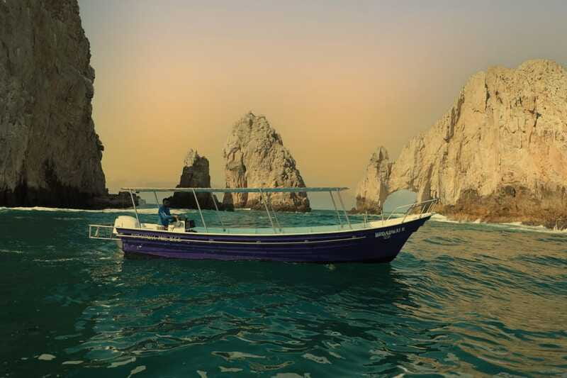 Los Cabos: Sunset Boat Tour to the Arch and Sea Lions - Wildlife Opportunities During the Tour
