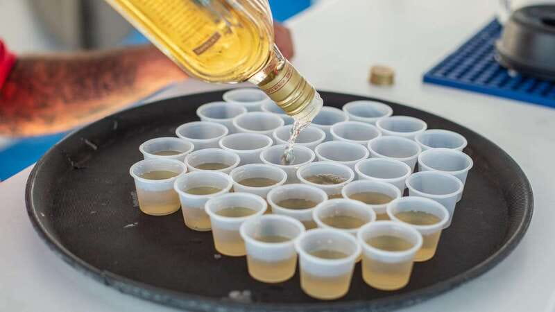 Los Cabos: Sunset Dinner Cruise with Transportation - Los Cabos Sunset Cruise: A Scenic Two and a Half Hours