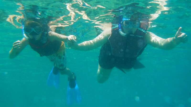 Los Cabos: The Arch and Lover's Beach Kayaking + Snorkeling - Snorkeling at Pelican Rock: A Vibrant Underwater Scene