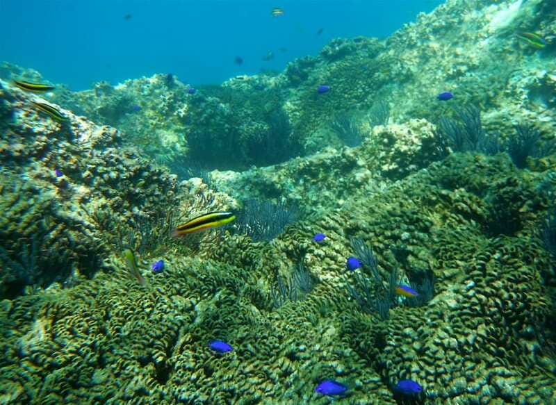 Los Cabos: The Arch and Lover's Beach Kayaking + Snorkeling - Accessibility, Physical Requirements, and Tips