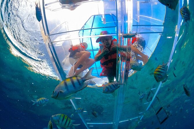 Los Cabos Transparent Boat Experience towards the Arch - Cancellation Policy and Flexibility