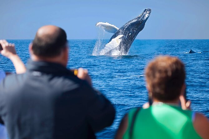 Los Cabos Whale Watching Adventure with Snacks and Drinks - Exciting Whale Watching in Los Cabos for $92 per Person
