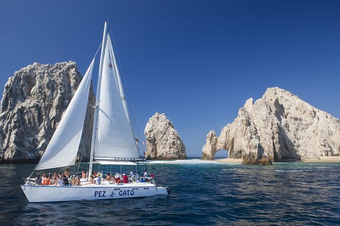 Los Cabos Whale Watching Adventure with Snacks and Drinks - Whale Watching Highlights: Gray, Humpback, and Blue Whales