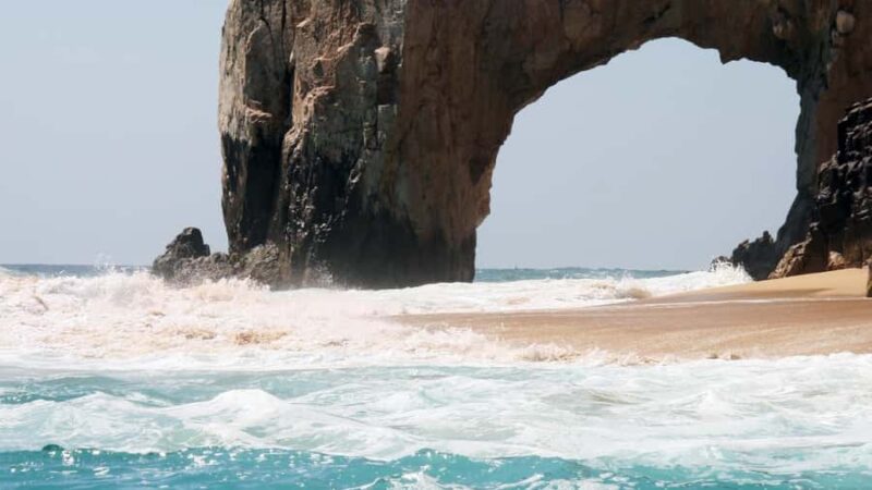 Los Cabos: Whale Watching by Glass Bottom Boat - The Guide and Tour Experience