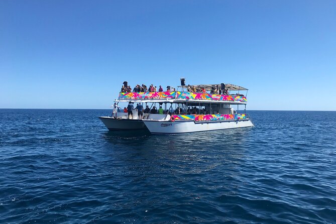 Los Cabos Whale Watching Cruise Including Breakfast - Scenic Stops and Wildlife Respect