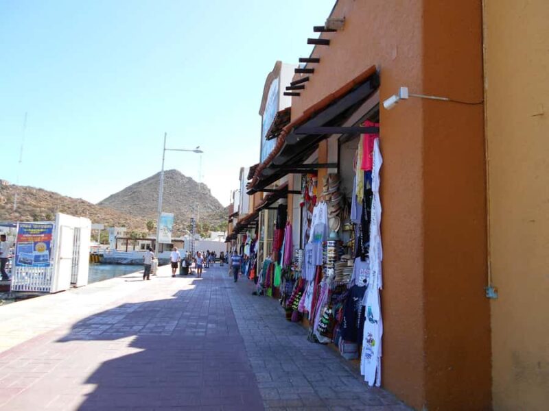 Los Cabos: Whale Watching Tour with Tequila Tasting - Practical Details and Logistics