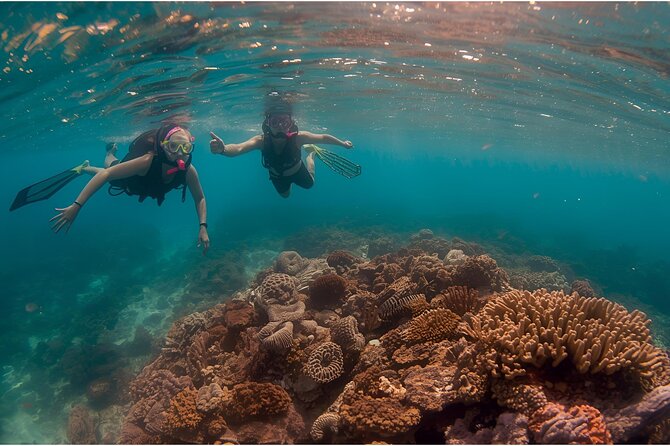 Los Cabos Yacht Private Charter Snorkeling and Beach Adventure - Cost Details and Additional Fees