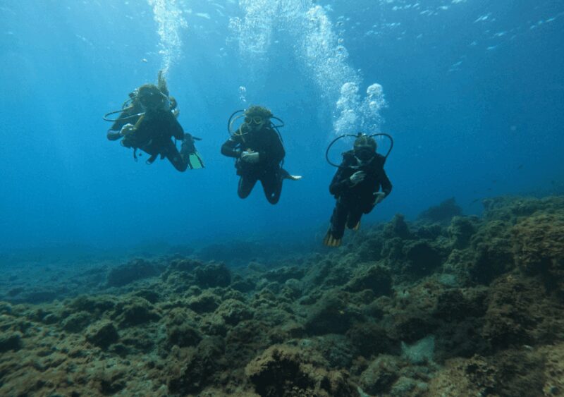 Los Cristianos: Basic Diver Course - Key Points