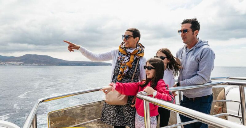 Los Cristianos: Eco-Yacht Whale Watching Cruise with Swim - Timing, Pacing, and Meeting Details