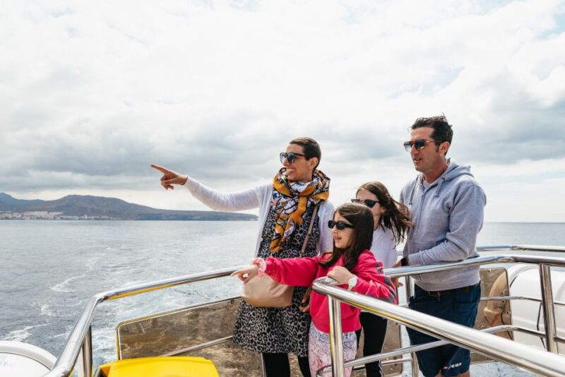 Los Cristianos: Eco-Yacht Whale Watching Cruise with Swim - Value for Money: What You Get for $17