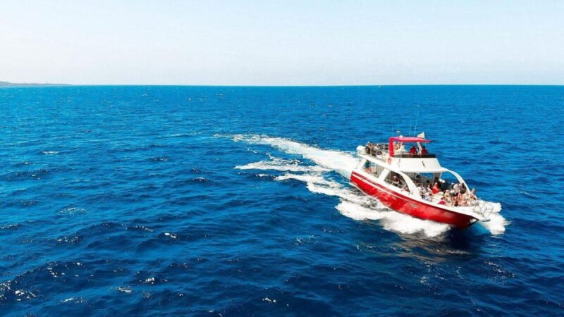 Los Cristianos: Eco Yacht Whale Watching Tour at Sunset - The Itinerary and Key Stops on the Sunset Tour